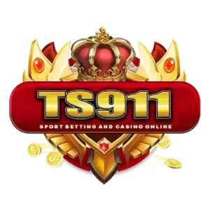 LOGO TS911